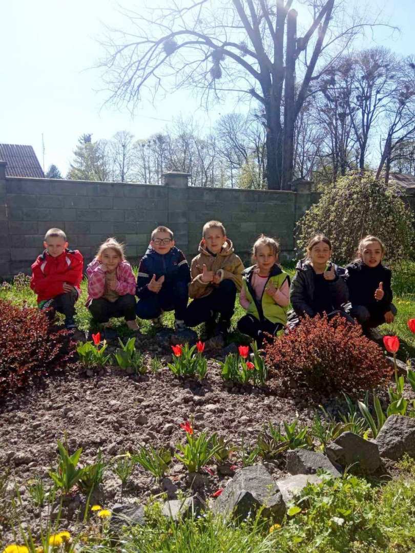 Квіти перемоги: благодійний проєкт з висадки тюльпанів біля шкіл триває