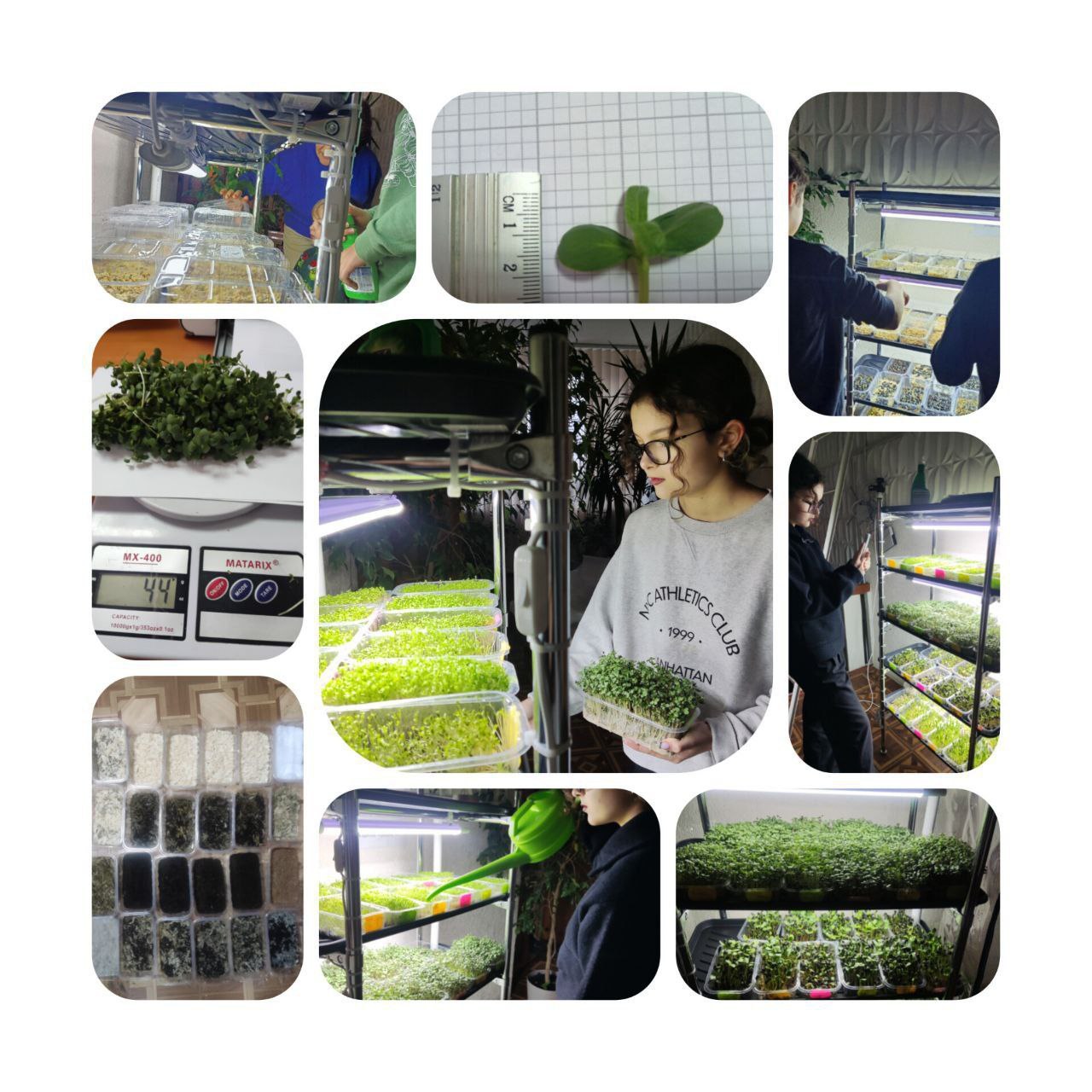 🌿 Запрошуємо у світ природи та цікавих відкриттів! 🌿